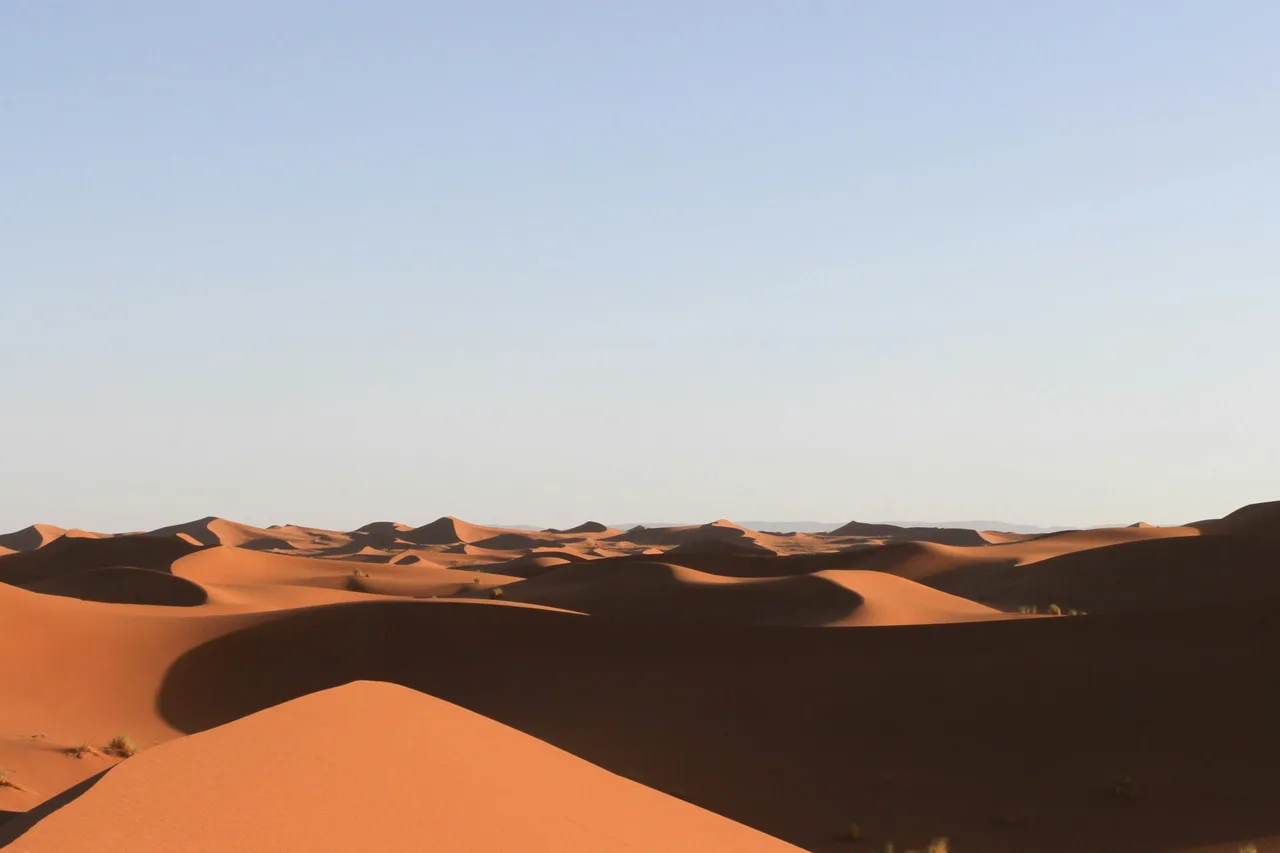 منظر على الصحراء خلال النهار