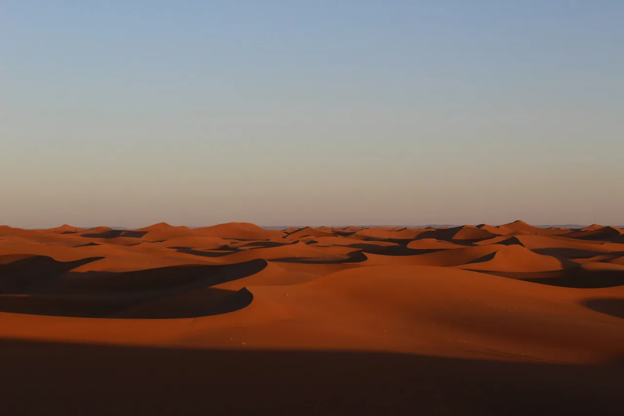 A vast expanse of sand dunes in the Sahara desert