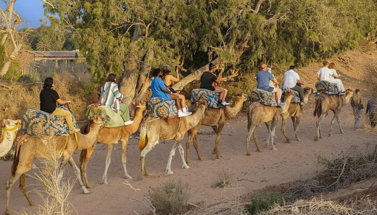 Guests arriving for the sunset camel ride with BBQ in Agadir