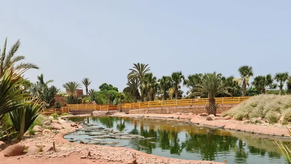 E344 viewpoint details during Agadir city tour