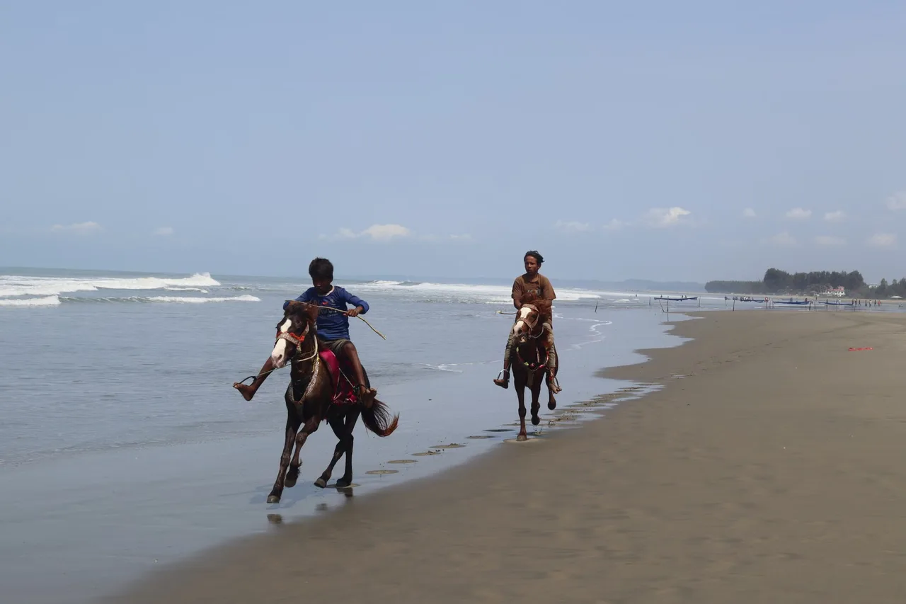 Horseback riding on the beach in sunny weather