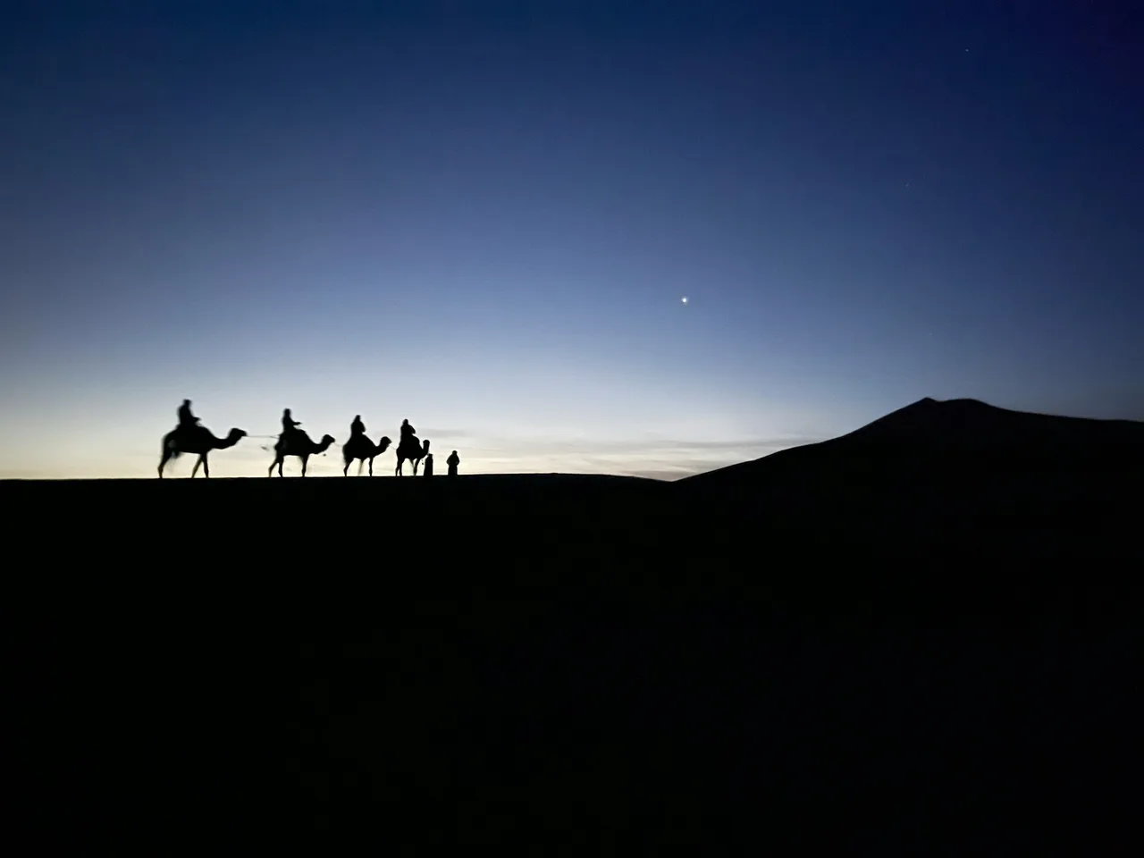 Camel trekkers crossing the Erg Chebbi dunes at Merzouga