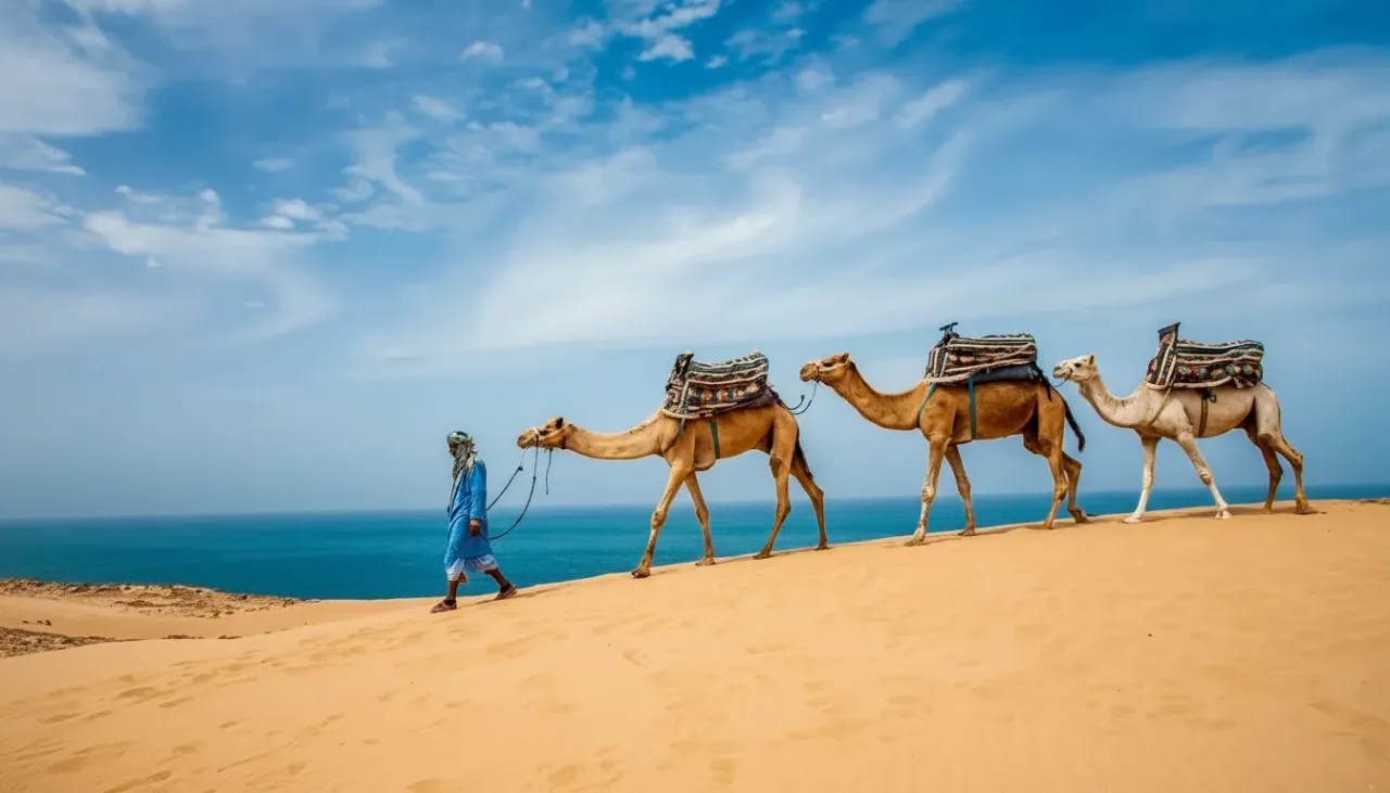 وادي الجنة وكثبان تملالين وركوب الجمال