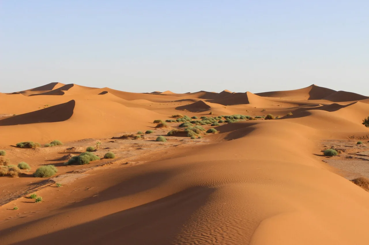 حقل كثبان رملية في الصحراء الكبرى