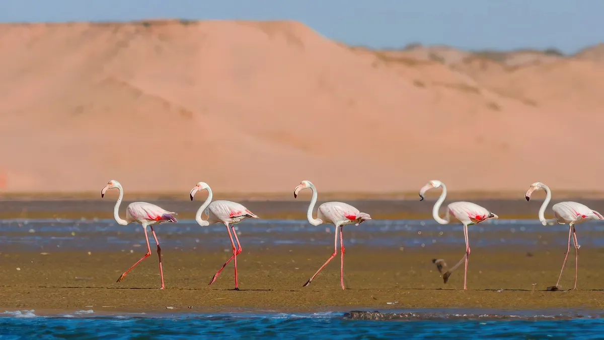 Côte sauvage de l'Atlantique près de Sidi Rbat en excursion d'une journée à Agadir