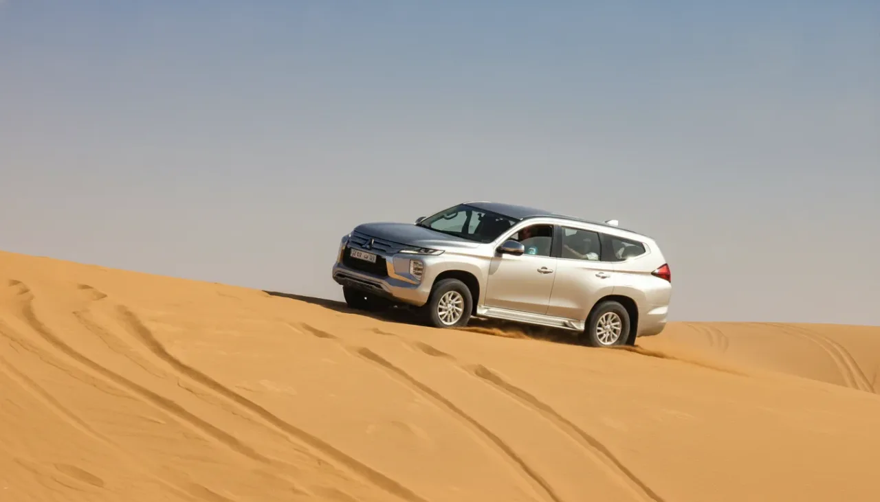 Chameaux au repos sur les dunes du Mini Sahara
